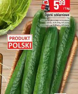 Polomarket Ogórki szklarniowe oferta