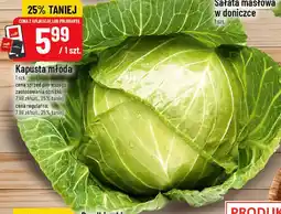 Polomarket Kapusta młoda oferta