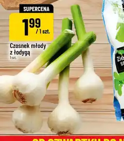 Polomarket Czosnek młody z łodygą oferta