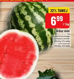 Polomarket Arbuz mini oferta