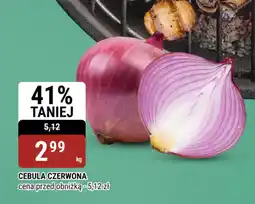 bi1 Cebula czerwona oferta