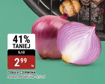 bi1 Cebula czerwona oferta