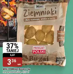 bi1 Bugaj Mini ziemniaki oferta