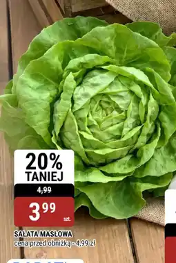 bi1 Sałata masłowa oferta
