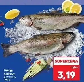 Pstrąg tęczowy patroszony