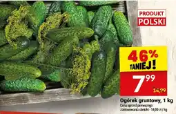 Twój Market Ogórek gruntowy oferta