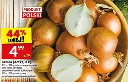 Twój Market Cebula paczka oferta