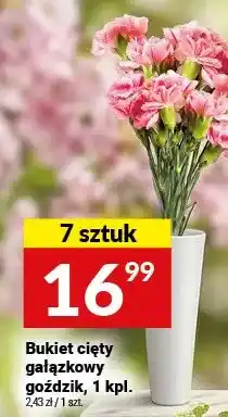 Twój Market Bukiet cięty gałązkowy goździk oferta
