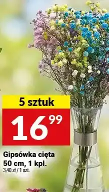 Twój Market Gipsówka cięta 50 cm oferta