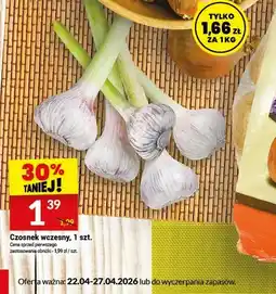 Twój Market Czosnek wczesny oferta