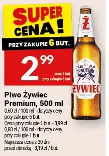 Twój Market Piwo Żywiec Premium oferta
