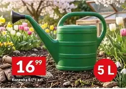 Twój Market Konewka oferta