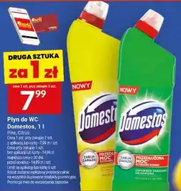 Twój Market Płyn do WC Pine, Citrus oferta