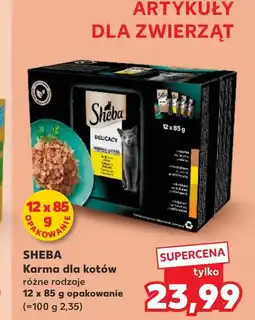 Kaufland Karma dla zwierząt Sheba oferta