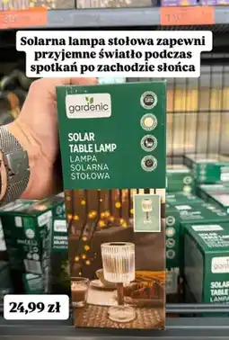 Biedronka Solarna lampa stołowa oferta