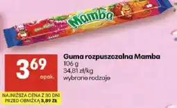 Delikatesy Centrum Guma rozpuszczalna Mamba oferta