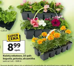 Auchan Kwiaty rabatowe 10-pak: begonia, petunia, aksamitka oferta
