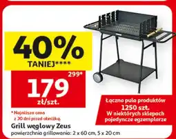 Auchan Grill węglowy oferta