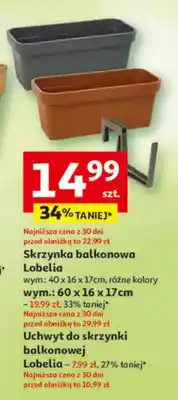 Auchan Skrzynka balkonowa Lobelia 40x16x17cm oferta