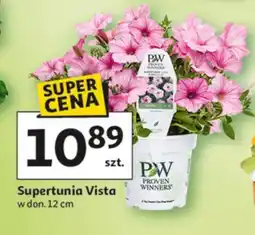 Auchan Supertunia Vista oferta