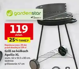 Auchan Grill na kółkach Apollo XL oferta
