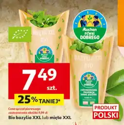 Auchan Bazylia XXL lub mięta XXL oferta