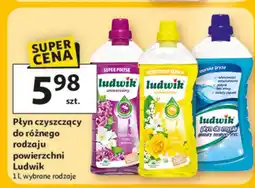 Auchan Płyn czyszczący do różnego rodzaju powierzchni Ludwik oferta
