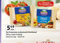 Auchan Ser Hochland oferta