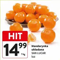 Intermarche Mandarynka układana luz San Lucar oferta