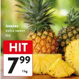Intermarche Ananas extra sweet luz oferta