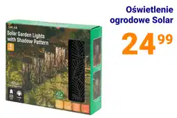 Action Oświetlenie ogrodowe Solar oferta