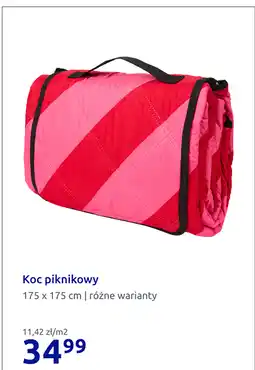 Action Koc piknikowy oferta