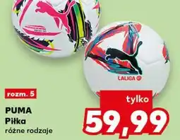 Kaufland PUMA Piłka oferta