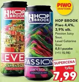 Kaufland HOP BROOK Piwo 4,4%, 3,9% alk. Passion Juicy Sour, Level Catarina Sour 0,5 l puszka oferta
