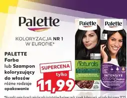 Kaufland PALETTE Farba lub Szampon koloryzujący do włosów oferta