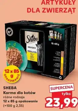 Kaufland SHEBA Karma dla kotów różne rodzaje oferta