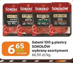 Gama Salami Sokołów oferta