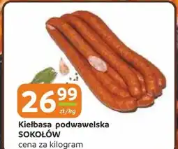 Gama Kiełbasa podwawelska Sokołów oferta