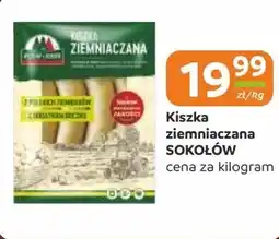 Gama Kiszka ziemniaczana Sokołów oferta