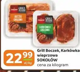 Gama Karkówka Sokołów oferta