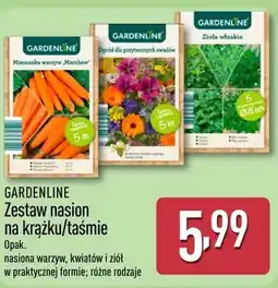 ALDI Nasiona warzyw Gardenline oferta