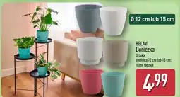 ALDI Doniczka Belavi oferta