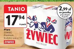 Intermarche Piwo Żywiec Premium oferta
