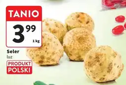 Intermarche Seler luz oferta