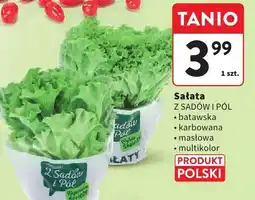 Intermarche Sałata z sadów i pól oferta