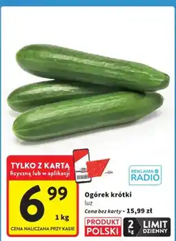 Intermarche Ogórek krótki luz oferta