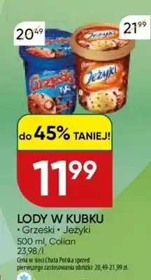 Chata Polska Lody w kubku - grześki - jeżyki oferta