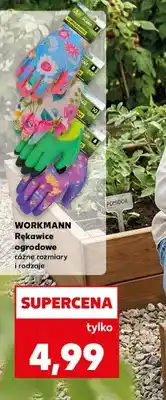 Kaufland Rękawice ogrodowe różne rozmiary i rodzaje oferta