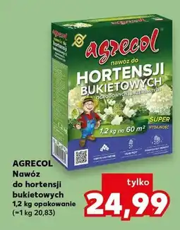Kaufland Nawóz Agrecol do hortensji bukietowych 1,2kg opakowanie oferta