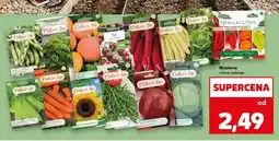 Kaufland Nasiona bób White Windsor oferta